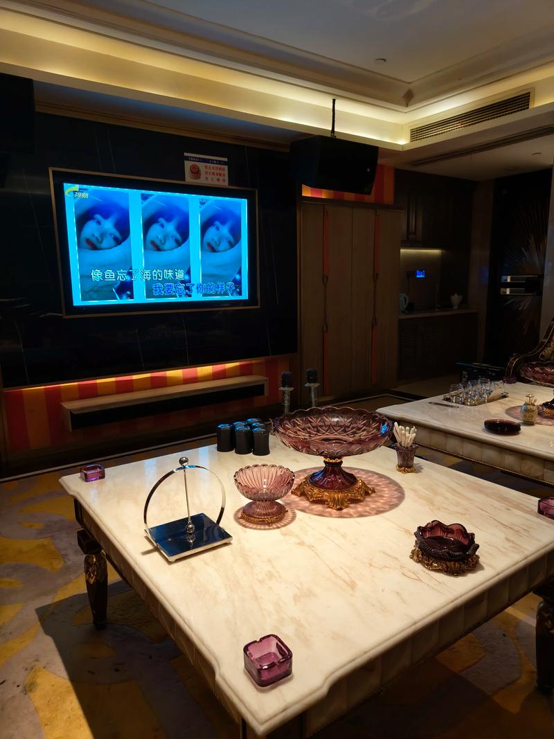 宿州商务ktv商务ktv能否组局解析-埇桥区ktv预定